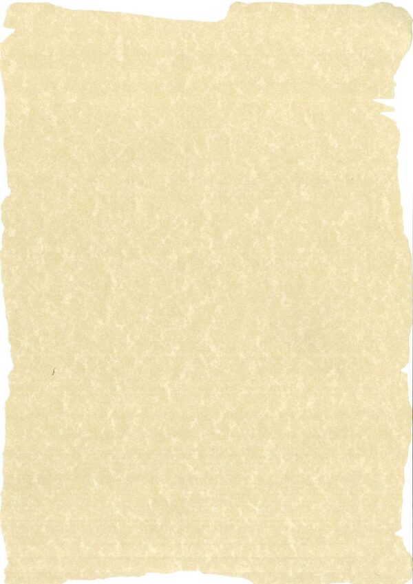 Carta, Blocchi E Quaderni Formato A4 10 Fogli 21×29cm Bianco Kentop